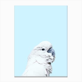 Blue Cockatoo Canvas Print