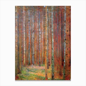 Birch Forest 1 Canvas Print