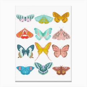 Butterfly Canvas Print