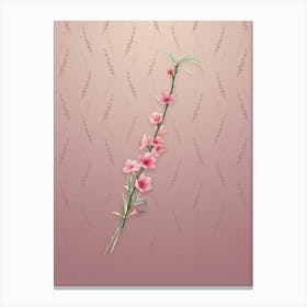 Vintage Peach Blossoms Botanical on Dusty Pink Pattern n.1785 Canvas Print