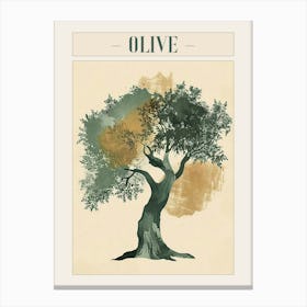 Olive Tree Minimal Japandi Illustration 1 Poster Canvas Print