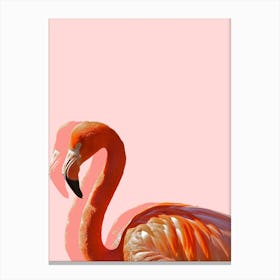 Pastel Flamingo I Canvas Print