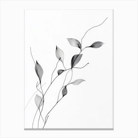 Leaf On A Branch Canvas Print