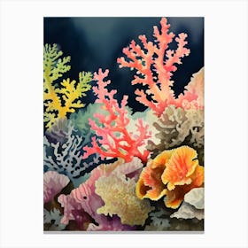 Acropora Nasuta Vintage Graphic Watercolour 1 Canvas Print