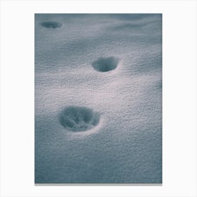 Paw In Blue Snow Canvas Print