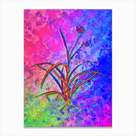 Spiderwort Botanical in Acid Neon Pink Green and Blue n.0338 Canvas Print