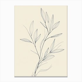 Line Drawing Of A Leaf 10 Canvas Print