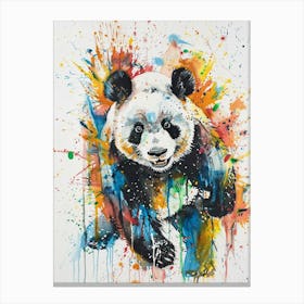 Panda Colourful Watercolour 4 Canvas Print