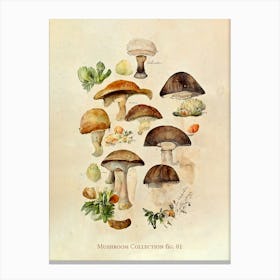 Mushroom Collection 01 Canvas Print