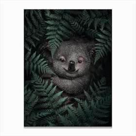 Cute Baby Koala Canvas Print