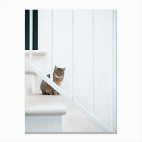 Cat on the steps in Italy Canvas Print