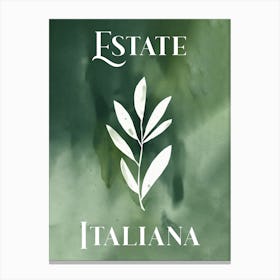 Estate Italiana Olive Branch Canvas Print