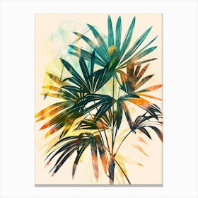 Palm Tree 47 Canvas Print