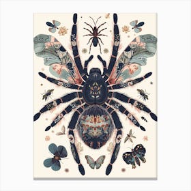 Colourful Insect Illustration Tarantula 11 Canvas Print