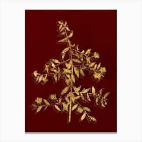 Vintage Goji Berry Branch Botanical in Gold on Red 1 Canvas Print