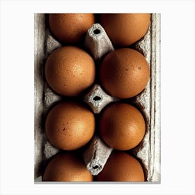 Eggs In A Carton 22 Canvas Print