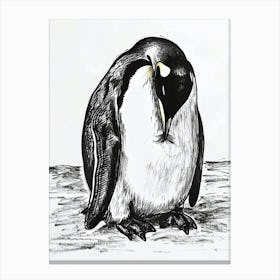 King Penguin Preening Their Feathers 1 Canvas Print
