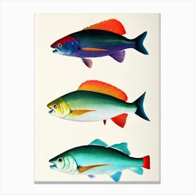 Rainbow Shark Vintage Poster Canvas Print