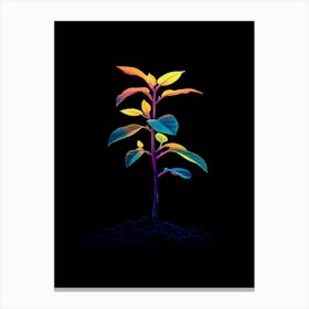 Rainbow Plant Canvas Print