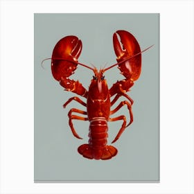 Lobster Canvas Print