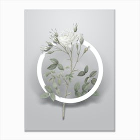 Vintage White Rose of Rosenberg Minimalist Flower Geometric Circle on Soft Gray n.0470 Canvas Print