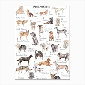 Dog Alphabet Canvas Print