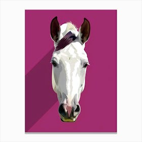 Horse Head 6 Canvas Print