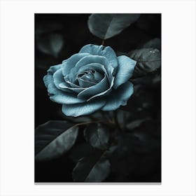 Blue Rose 3 Canvas Print