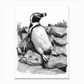 African Penguin Sunbathing On Rocks 2 Canvas Print