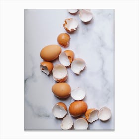 Broken Eggs Canvas Print