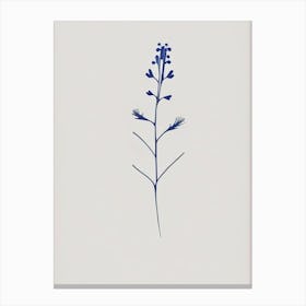 Speedwell Wildflower Simplicity Canvas Print
