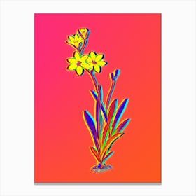 Neon Ixia Grandiflora Botanical in Hot Pink and Electric Blue n.0121 Canvas Print