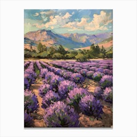 Lavender Field 17 Canvas Print