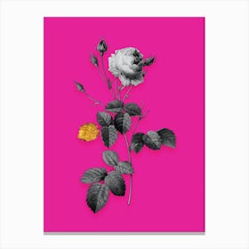 Vintage Provence Rose Black and White Gold Leaf Floral Art on Hot Pink n.0981 Canvas Print