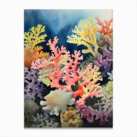 Acropora Nasuta 2 Vintage Graphic Watercolour (2) (1) Canvas Print