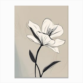 Lilies Line Art Flowers Illustration Neutral 8 Canvas Print