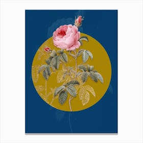 Vintage Botanical Provence Rose Bloom on Circle Yellow on Blue Canvas Print