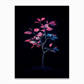 Tree In The Dark 25 Canvas Print