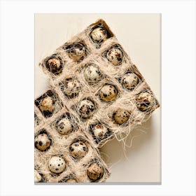 Quail Eggs 23 Canvas Print