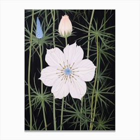 Flower Illustration Love In A Mist Nigella 6 Canvas Print