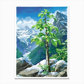 Switzerland 3 Canvas Print