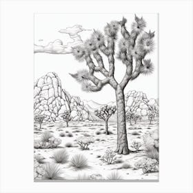  Detailed Drawing Of A Joshua Trees 1 Canvas Print