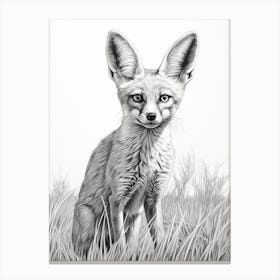 Bengal Fox In A Field Pencil Drawing 2 Canvas Print