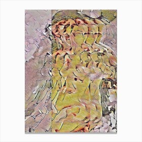Abstract - Nude Painting Canvas Print