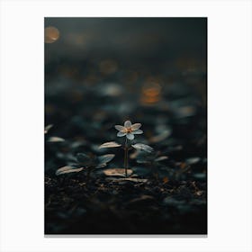 Flower In The Dark 23 Canvas Print