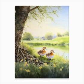 Ducklings In The Meadow Watercolour Canvas Print