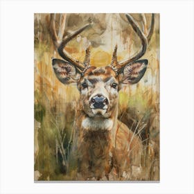 Deer Pastel Watercolour 2 Canvas Print