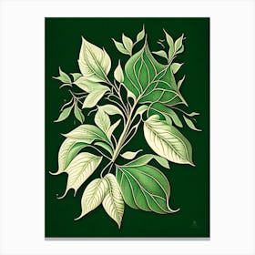 Jasmine Leaf Vintage Botanical 3 Toile