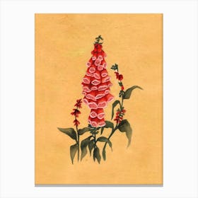 Red Foxglove Country Wildflower Canvas Print