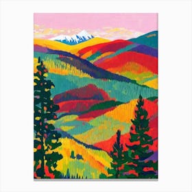 Tatra National Park Poland Abstract Colourful Canvas Print